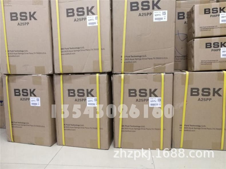 001-BSK塑料泵5.jpg