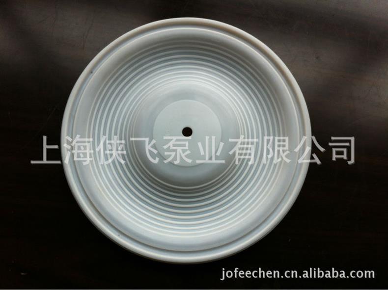照片 244