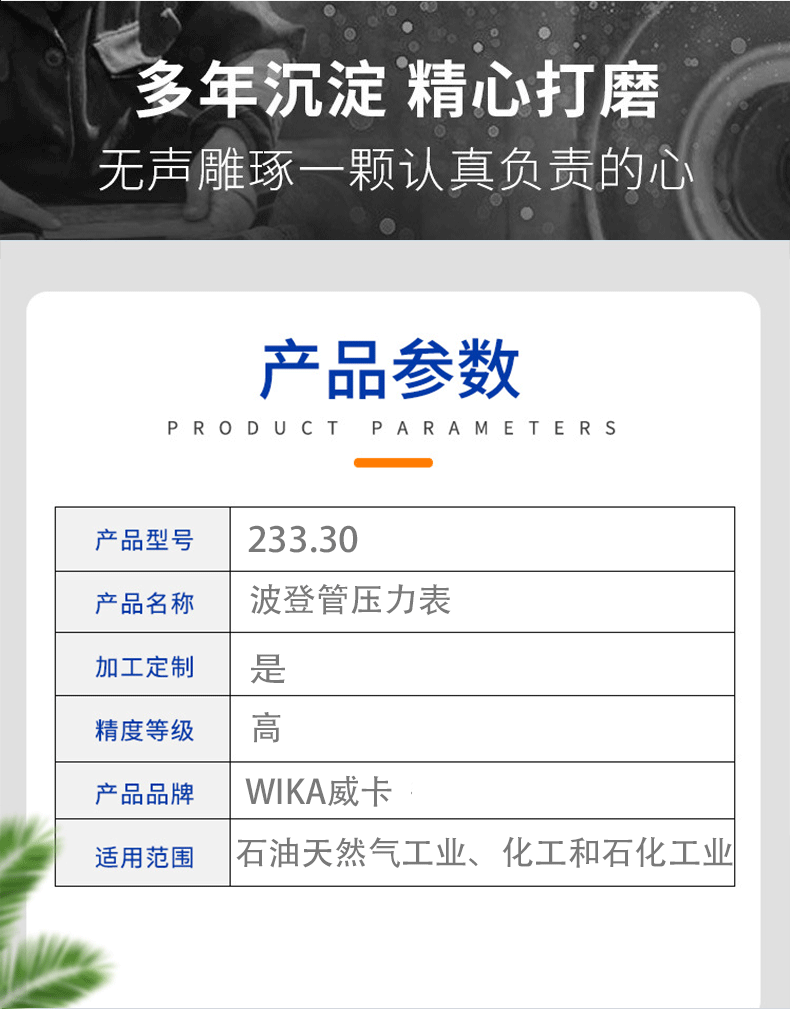 233.30压力表_04