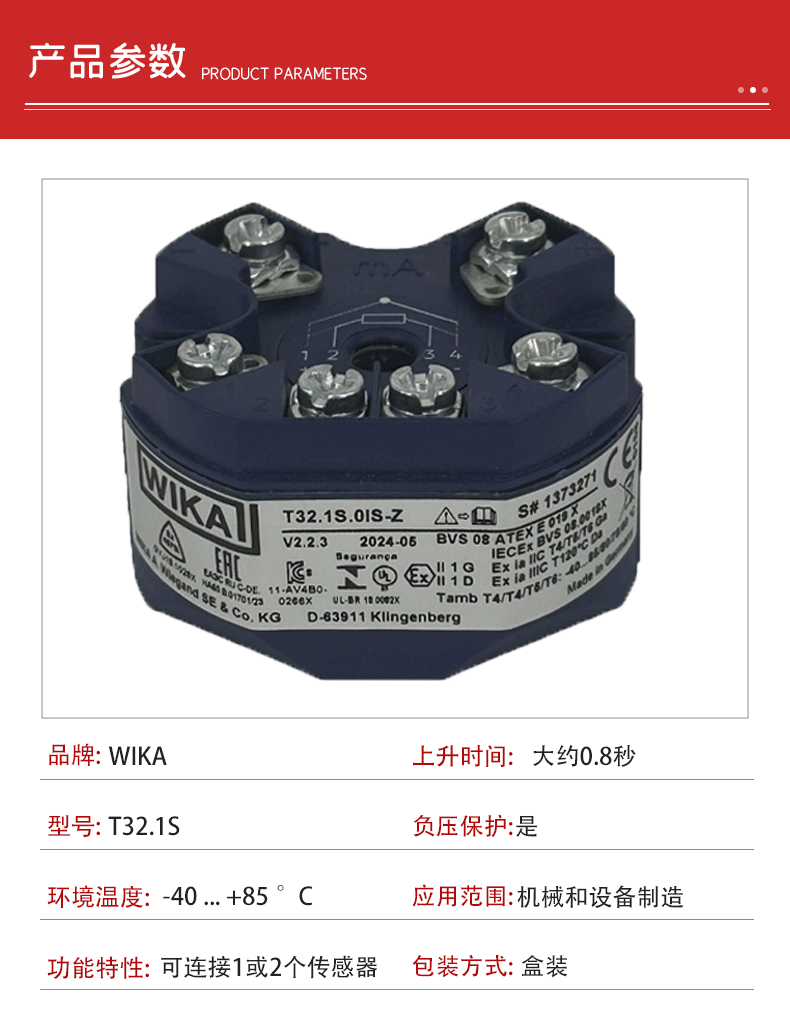 温度变送器T32.1S_03