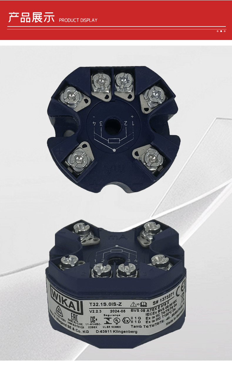 温度变送器T32.1S_05