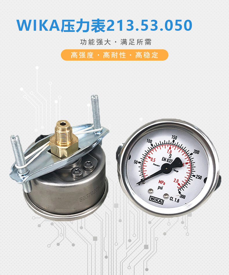 213.53.050压力表_01