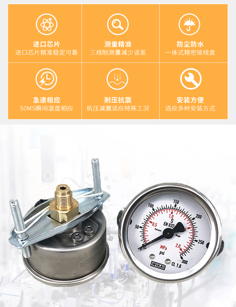 213.53.050压力表_03