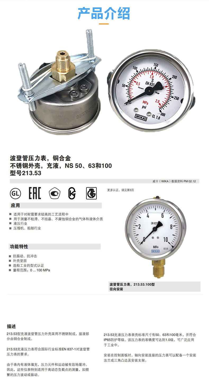 213.53.050压力表_08
