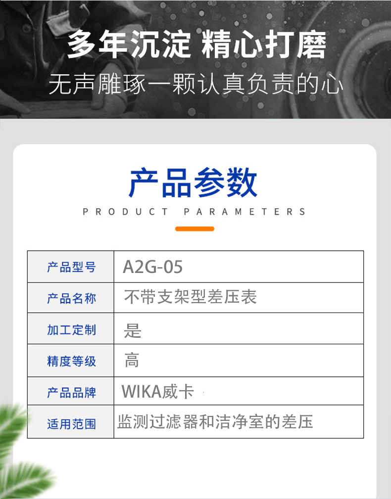 A2G-05系列差压表_04