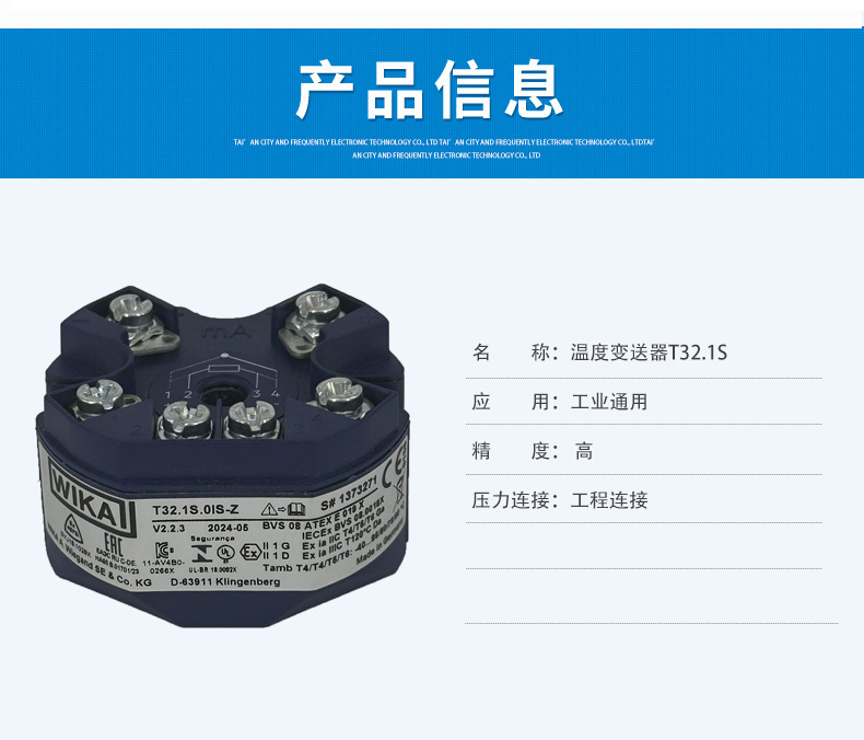 温度变送器T32.1S-2_03