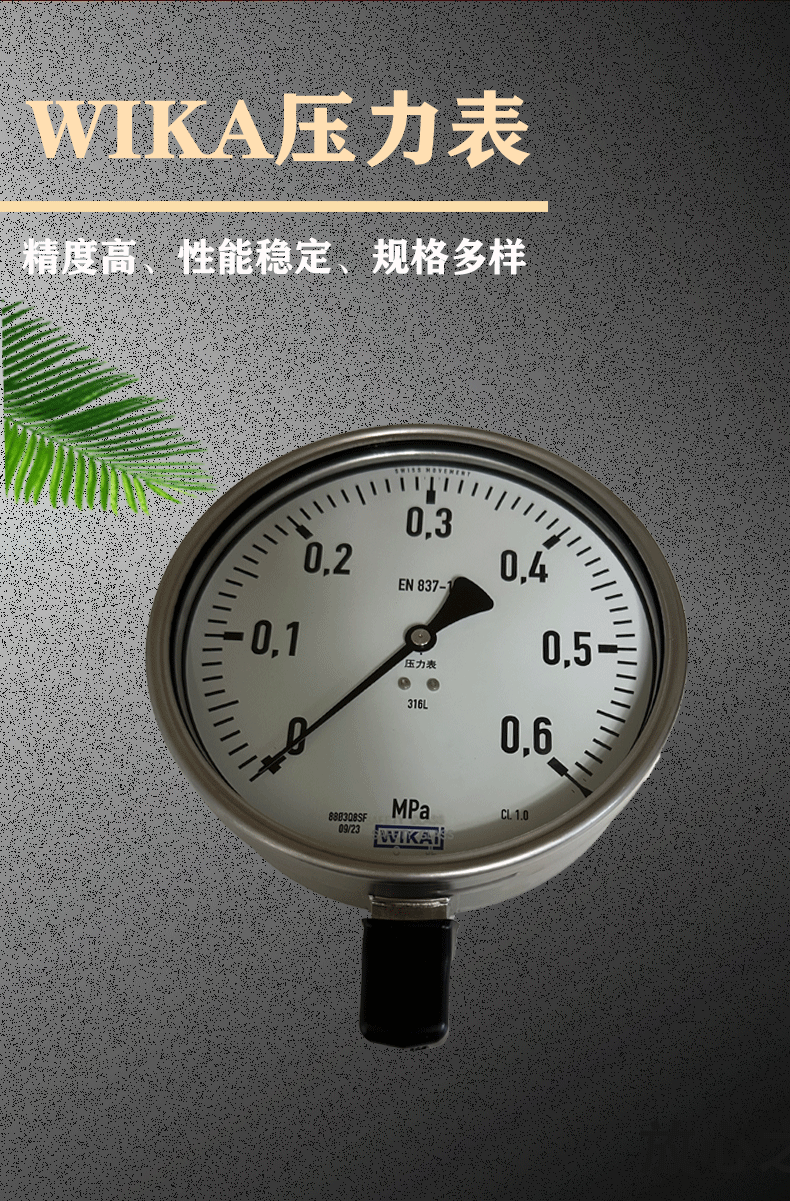 232.50.160压力表_02