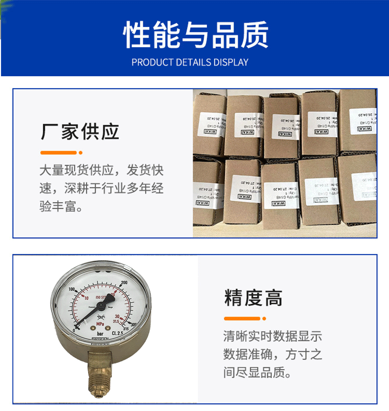 111.11.063压力表_05