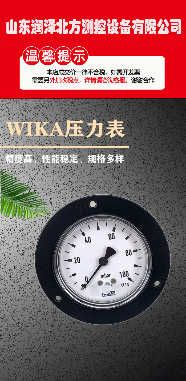 611.10.063膜盒压力表_01