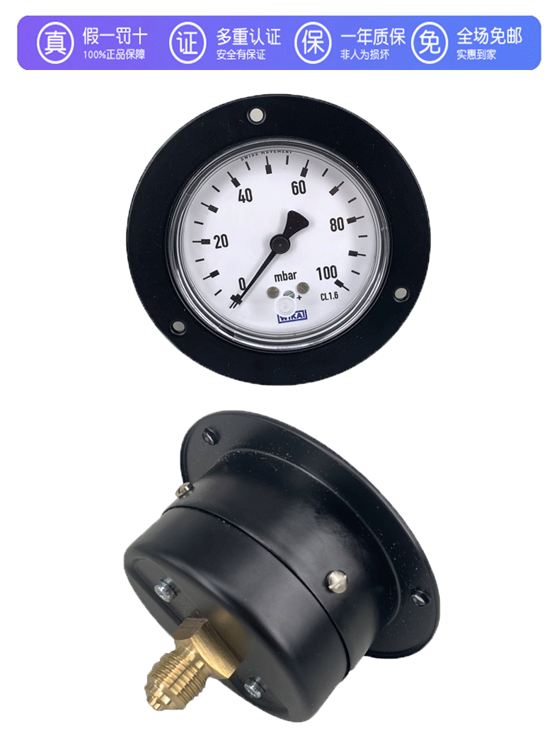 611.10.063膜盒压力表_05