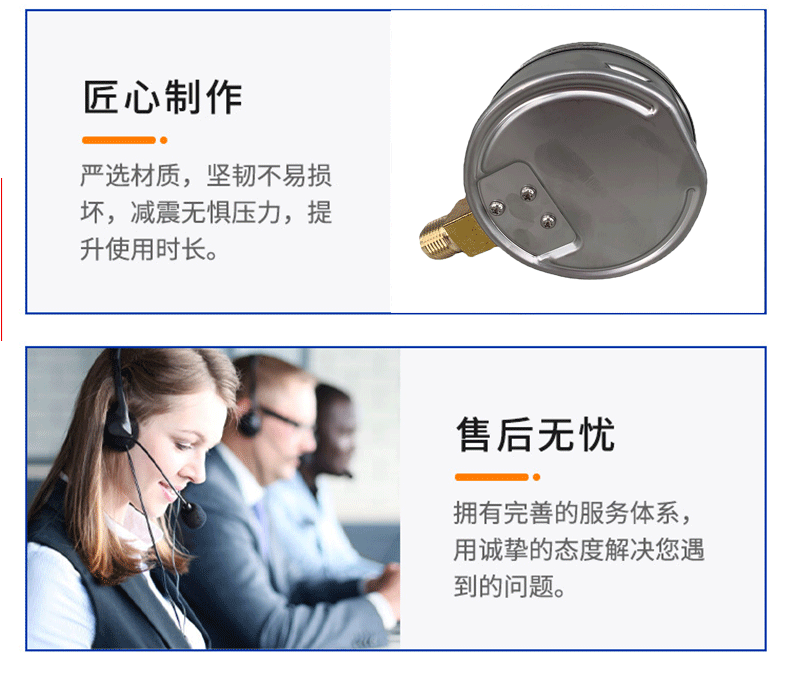 612.20.100压力表3_06