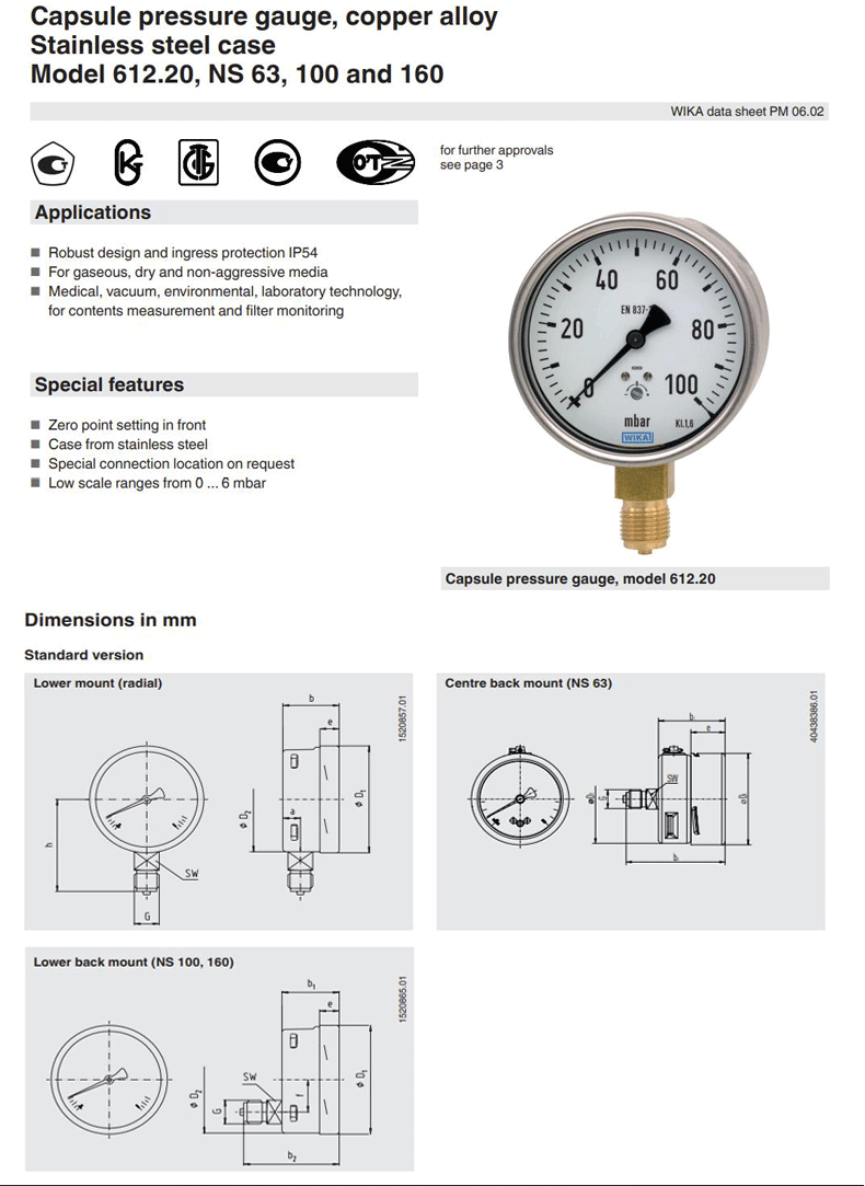 612.20.100压力表3_08